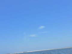 -碧海金沙