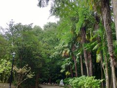 -上海市龙华烈士陵园