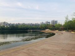 -新江湾城公园