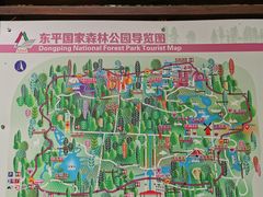 -东平国家森林公园
