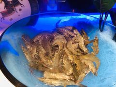 -加餐海鲜自助(宝龙一城店)