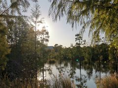 -上海长兴岛郊野公园