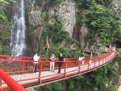 -旗山国家森林公园