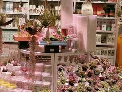 -KKV(深圳kk one 店)