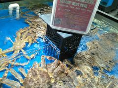 水产区-盒马鲜生(杨高南路店)