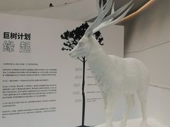 -中国湿地博物馆
