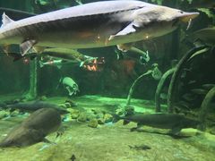 -华夏文旅海洋公园