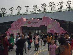 门面-天府芙蓉园