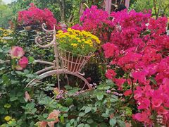 -人民公园(罗湖区)