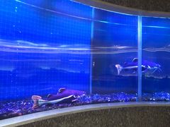 -碧涛阁水世界酒店(万家丽路店)