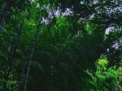 -溧水东庐山服务区-停车场