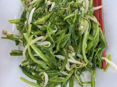 青龙菜-新峰肉骨茶