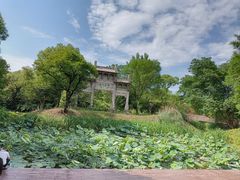 -西溪国家湿地公园