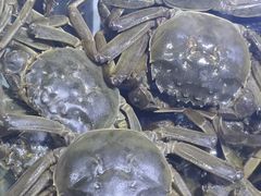 -聚盛源蒸汽海鲜火锅烤肉自助(巨川金海岸购物广场店)