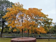 -上海月湖雕塑公园