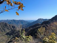 -大岭沟猕猴桃谷风景区