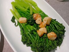 清炒西兰菜苔-玉玲珑(陆家嘴店)