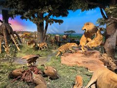 -国家自然博物馆