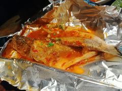 金屋藏娇-大灰狼(中心书城店)