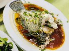 清蒸石斑鱼-秋姐美食店(旅游大道店)