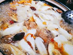 -菌之家·专业纯野生菌火锅·特色炒菌
