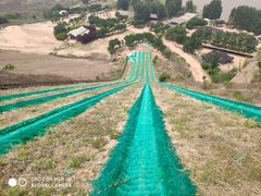-古柏渡飞黄旅游区