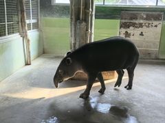 -石家庄市动物园