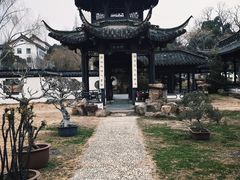 -扬州大运河文化旅游度假区·盆景园