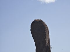-磬锤峰森林公园