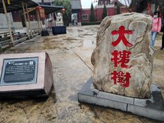 -大槐树寻根祭祖园