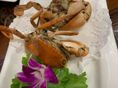 -友强·23年特色海鲜大排档(厦门店)