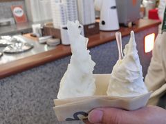 -野人先生Gelato(上海长宁龙之梦店)