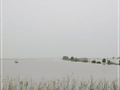 -合肥滨湖国家森林公园