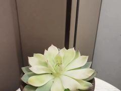 -宴昆山·私房菜(春晖店)