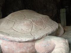 -上海佘山国家森林公园天马山园