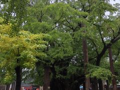 -浮来山风景区
