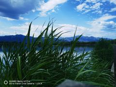 -野鸭湖国家湿地公园