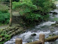 -广州市石门国家森林公园