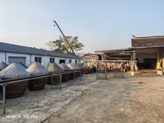 -苏州市吴中区光福窑上花果蜜饯厂