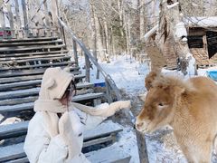 -雪谷