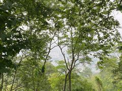 -紫金山山顶公园