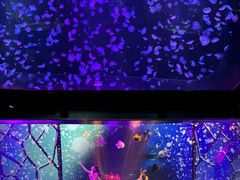 -顺德南宏海立方海洋公园