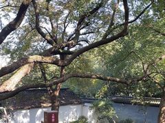 -绮园景区