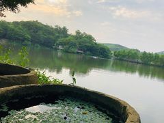 -美丽南方·老木棉匠园·团建烧烤·烤全羊