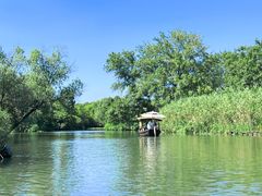 -西溪国家湿地公园