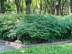 -徐家汇源景区-衡山公园