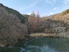 -国家植物园南园