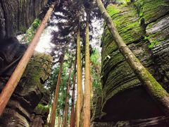 -梭布垭石林景区