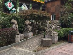 -藏龙百瀑风景区