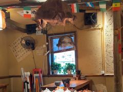 -泥糊破店小酒馆·团建聚餐(南京西路店)